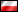 Pontes - Polski